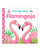 Flamingoja  Prek Dhe Ndjej