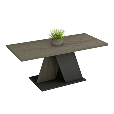 Tavolinë për kafe Dile 110x55x47Hcm (HM9528.01), gri