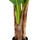 Bimë sintetike Pema Banane 150cm (HM7977)