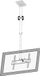 Плафонска држачка за телевизор Brateck PLB-CE344, 32"-55", до 50 kg, црна