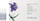 Serum hidratues për flokë Simply Zen Age for Revitalization, 12 x 5 ml