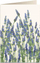 Kartolinë Tassotti 5591 Lavender B6, me zarf, letër 200g, shumëngjyrëshe