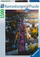 Puzzle Ravensburger Blooming Bonn (GXP-817189), 1500 pjesë