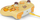 Kontroller PowerA Animal Crossing Isabelle, me kabllo, i verdhë