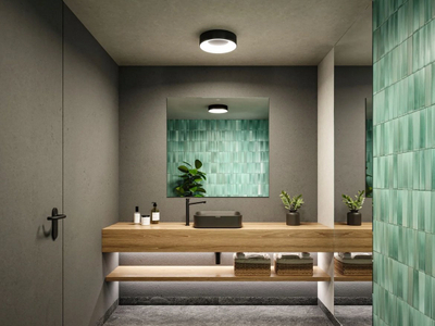 Plafonierë tavani Paulmann HomeSpa Casca, LED, Ø30cm, e zezë