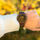 Orë dore Green Time Basic ZW113B