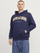 Duks për meshkuj Jack&Jones PLUS mJP0328, i kaltër