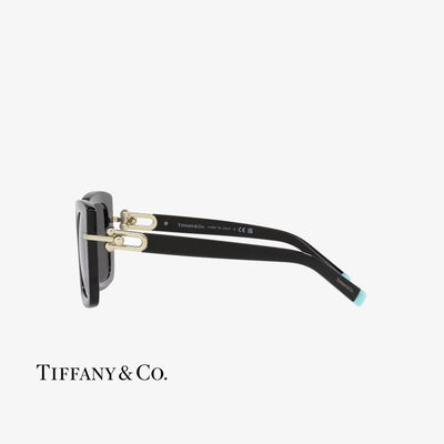 Tiffany & Co. TF4199 8001S4 53