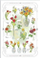 Kartolinë urimi Flowers, 12x18 cm, me zarf, shumëngjyrëshe