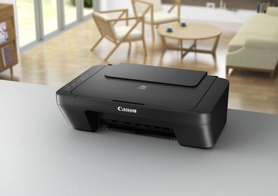 Printer multifunksional Canon PIXMA MG2550S