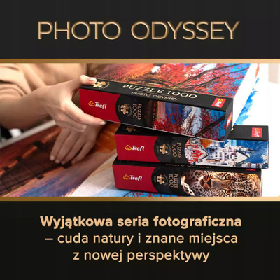 Puzzle Trefl Premium Plus 1000 copë, Little Venice në Colmar, shumëngjyrësh