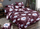 Set çarçafë Nagavci Home CROTON, 200x220cm, i kuq