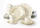 Set pjatash Seltmann Marie-Luise Streublume, për 6 veta, porcelan, krem me lule
