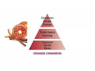 Set Maison Berger Paris - shprëndarës Pyramide vintage pink + mbushje Orange and cinnamon 200 ml