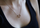 Qafore Beneto Heart AGS288 / 47