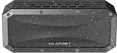 Altoparlant Blaupunkt BT14, i zi