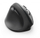 Maus Hama EMW-500L, i zi