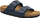 Sandalet Birkenstock Arizona Birko-Flor, shollë anatomike, dy rripa, të zeza