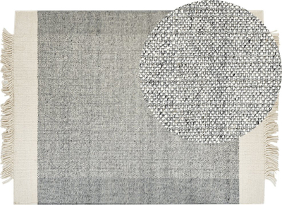 Tapet Beliani TATLISU, lesh, 160x230 cm, gri