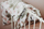Set jorgan dhe jastëk Tropical Bamboo Bedding, bambu, anti alergjik, me print tropikal