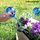 Set globash ujitës automatikë Innovagoods Aqualoon, 2 copë, transparent