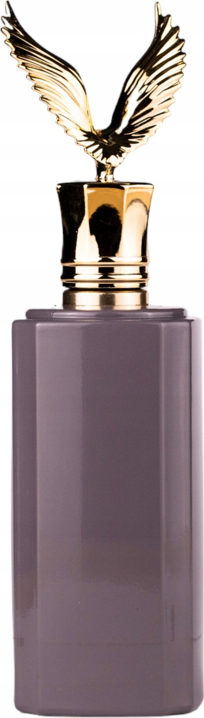 Parfum ekstrakt Paris Corner EMIR Fascination, 100ml