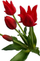 Buqetë lulesh artificiale Saska Gift and Decor Tulip, 5 copë, 40 cm, e kuqe