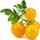 Kapsula bimore Click &amp; Grow, Yellow Mini Tomato, set me 3 copë