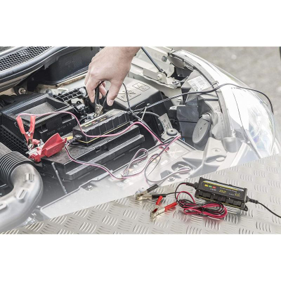 Karikues baterie Dunlop 92430, 6V 12V, 1A, i zi