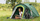 Tendë për kamping Coleman Kobuk Vallley 4 Plus