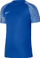 Bluzë sportive Nike Dri-Fit Academy SS M DH8031-463, poliester, blu