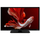 Televizor GOGEN GOGTVH24P452T