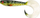 Karrem për peshkim Fox Rage Pro Grub, 23cm