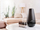 Vaj Aromatik ETA 83390010