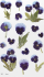 Stickerë zbukurues Appree Flowers Pansy, PET, sfond i tejdukshëm, shumëngjyrësh