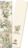 Shenjë libri Bookmark 9113 Stelle Alpine Edelweiss, karton 300 g m², shumëngjyrëshe