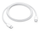 Apple - USB-C cable - USB-C to - 1m, e bardhë