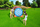 Target fryrse për lojë me top Bestway 52307, 157 x 107 x 157 cm, shumë ngjyrsh
