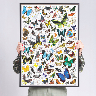 Puzzle CzuCzu Puzzlelove Butterflies, 1000 pjesë, flutura shumëngjyrëshe