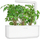 Refill për kopshtin inteligjent Click and Grow me livando deti Lovage Smart Garden, 3 copë