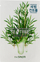 The Saem Natural Tea Tree Facial Mask Sheet