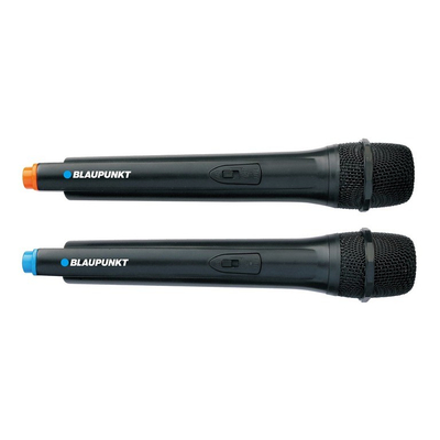 Speaker Blaupunkt Ps10Db