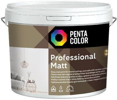 Bojë murale Pentacolor Color Plus, mat, ngjyra Stainless Steel - 2