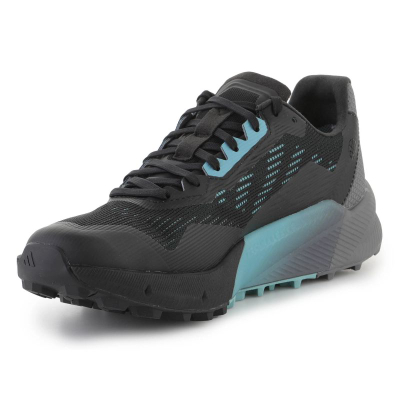 Atlete për meshkuj Shoes Adidas Terrex Agravic Flow 2 GTX