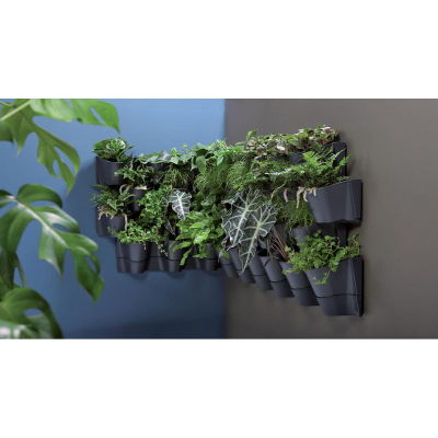 Kopsht vertikal muri Prosperplast CASCADE WALL, me sistem ujitje, plastik, antracit