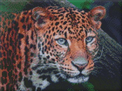 Set mozaik diamanti Ideyka Wild Look, 30x40cm, 5D, shumëngjyrësh