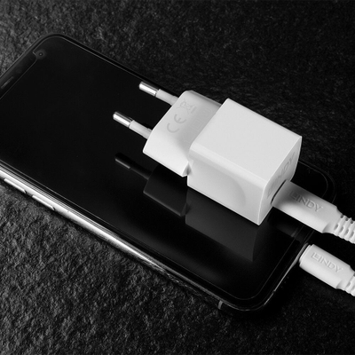 Karikues USB C Lindy 20W GaN, një port, i bardhë