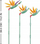 Set blloqesh Sluban Beautiful Flowers Strelitzia Bouquet, 269 copa, 6+, shumëngjyrësh