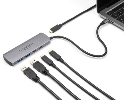 Hub USB Delock, me 4 porta, 10 Gbps, gri