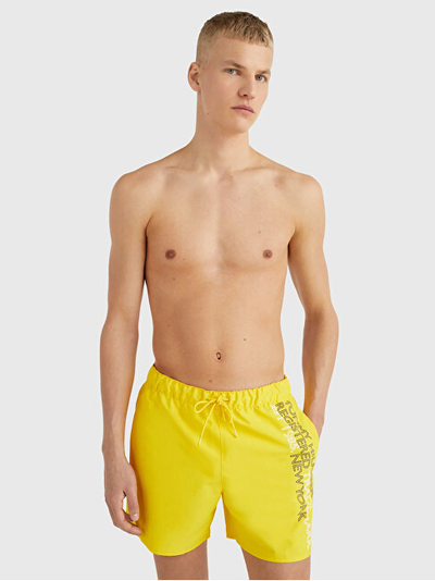 Shorce Tommy Hilfiger UM0UM02742ZGS